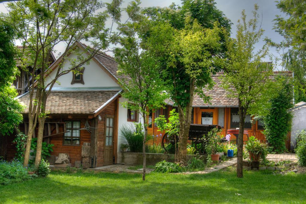 Ana Guesthouse Senta Esterno foto